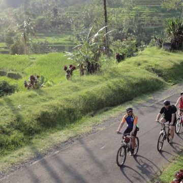 Bali Eco Bike tour