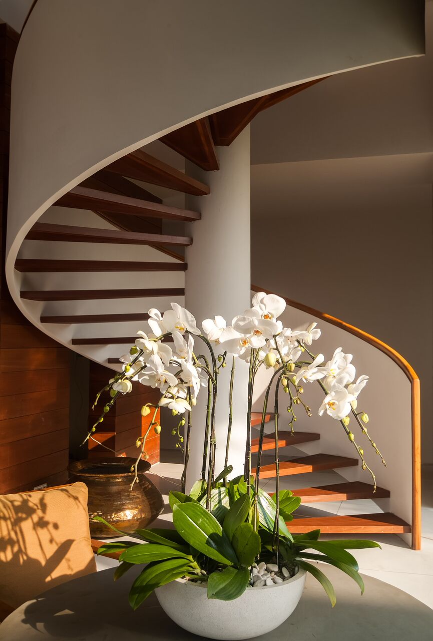 Ambalama Villa - stairs detail orchids